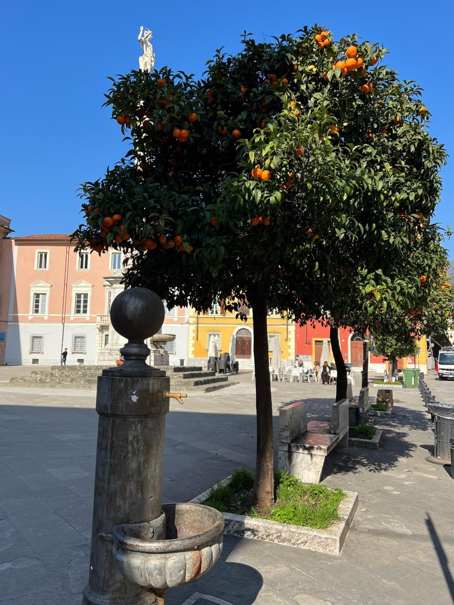 Appartamento Aranceto 10 Massa  Esterno foto